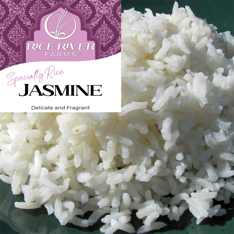 Jasmine Rice